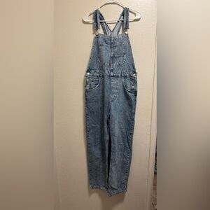 We The Free Ziggy Denim Overalls in Powder Blue Medium